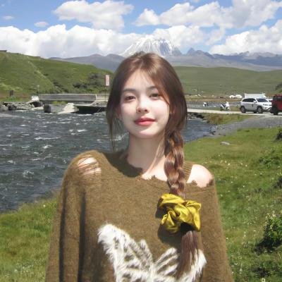 印度刺客:萨达尔·辛格