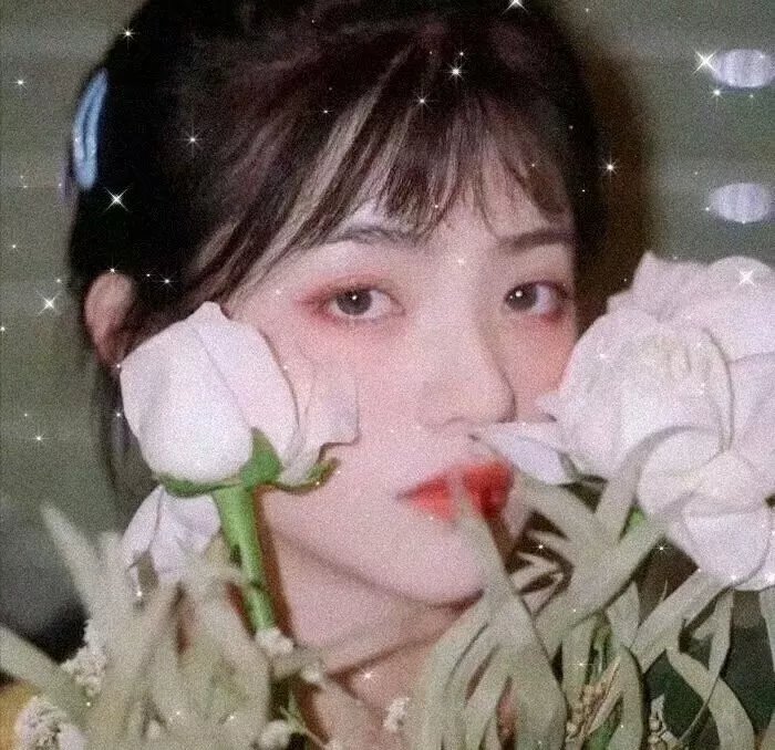 捧场者