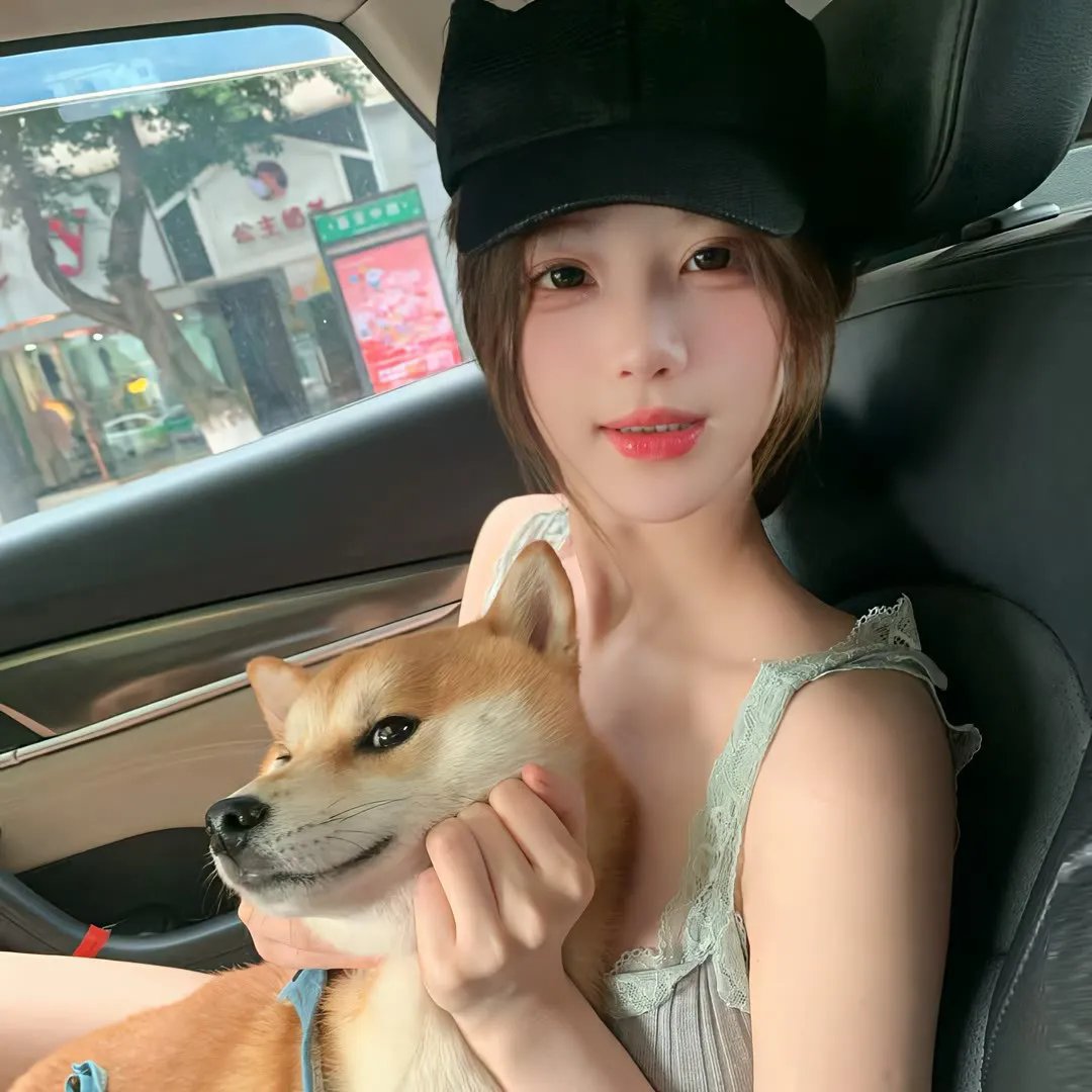 猫无赦